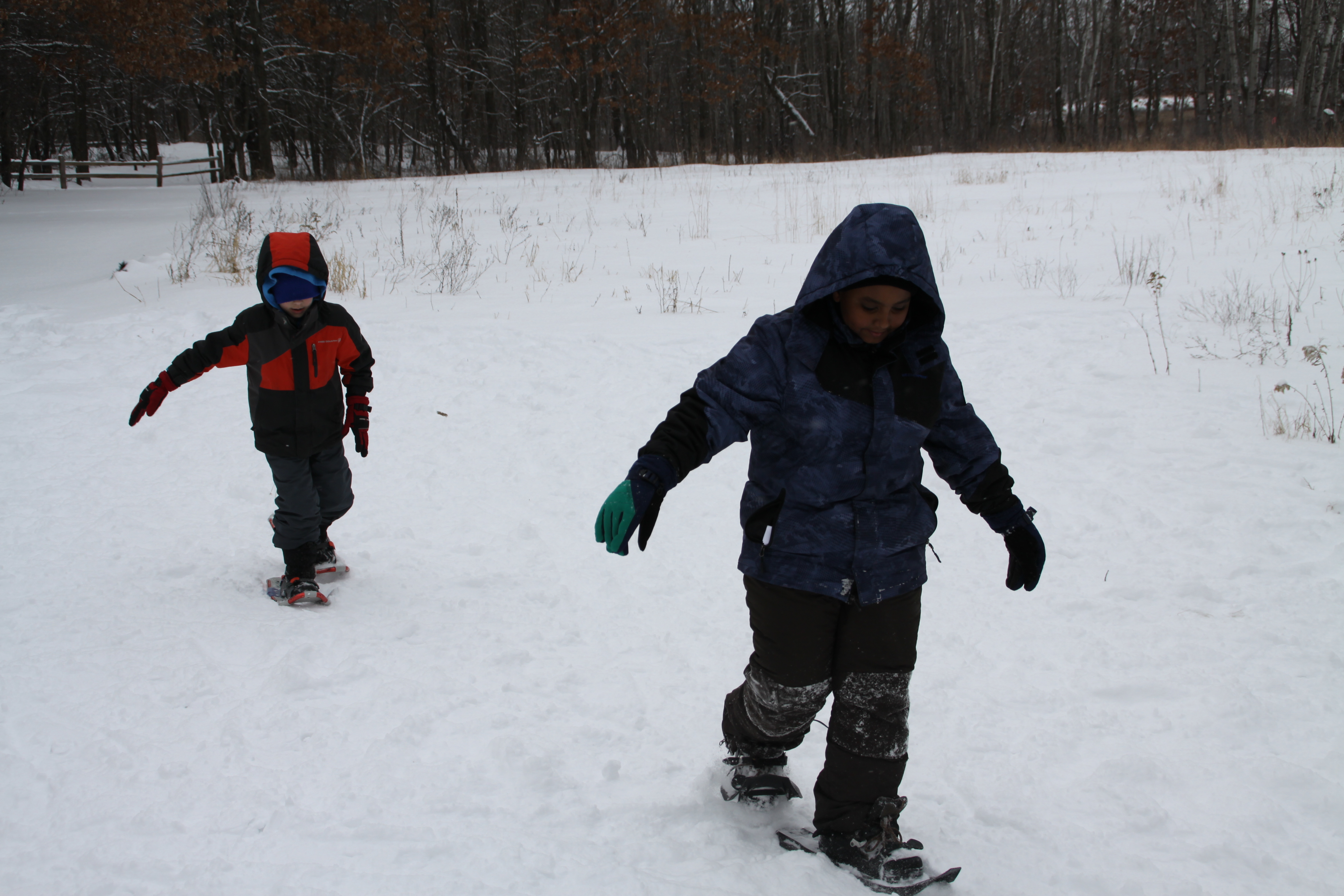 Two children snowshoeing down a path