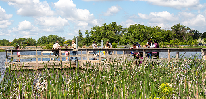 People sitting at the outdoor amphitheater for a concert